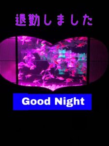 さやか【業界未経験】｜水戸デリヘルの写メ日記