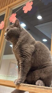 るい【業界未経験】｜水戸デリヘルの写メ日記