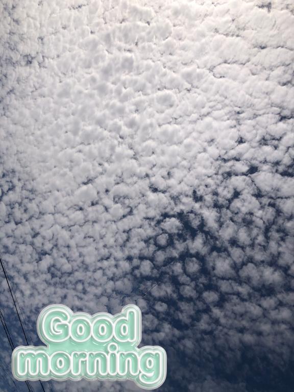 さやかの写メ日記