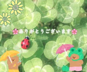 ひの｜水戸デリヘルの写メ日記