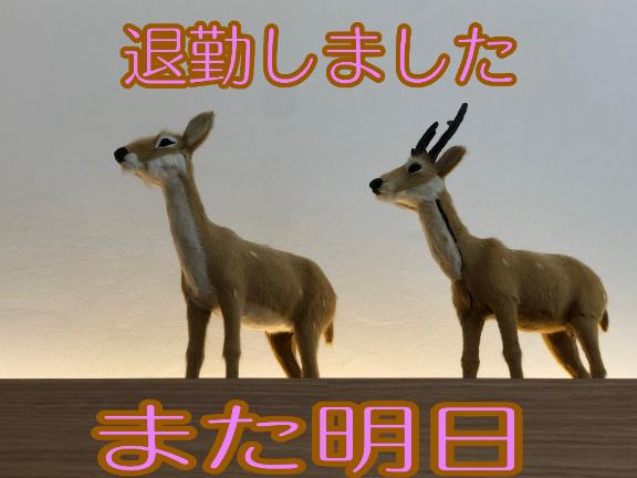 さやかの写メ日記