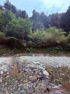しほ【業界未経験】|水戸デリヘルの写メ日記