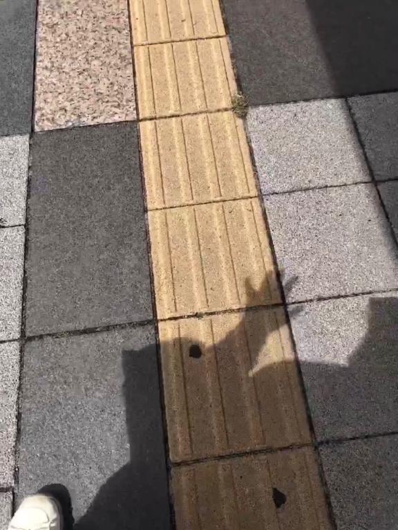 さやかの写メ日記