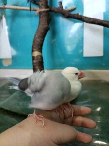 みお|水戸デリヘルの写メ日記