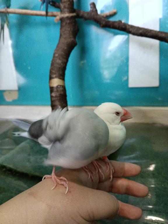 みおの写メ日記
