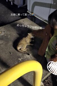 ひの|水戸デリヘルの写メ日記