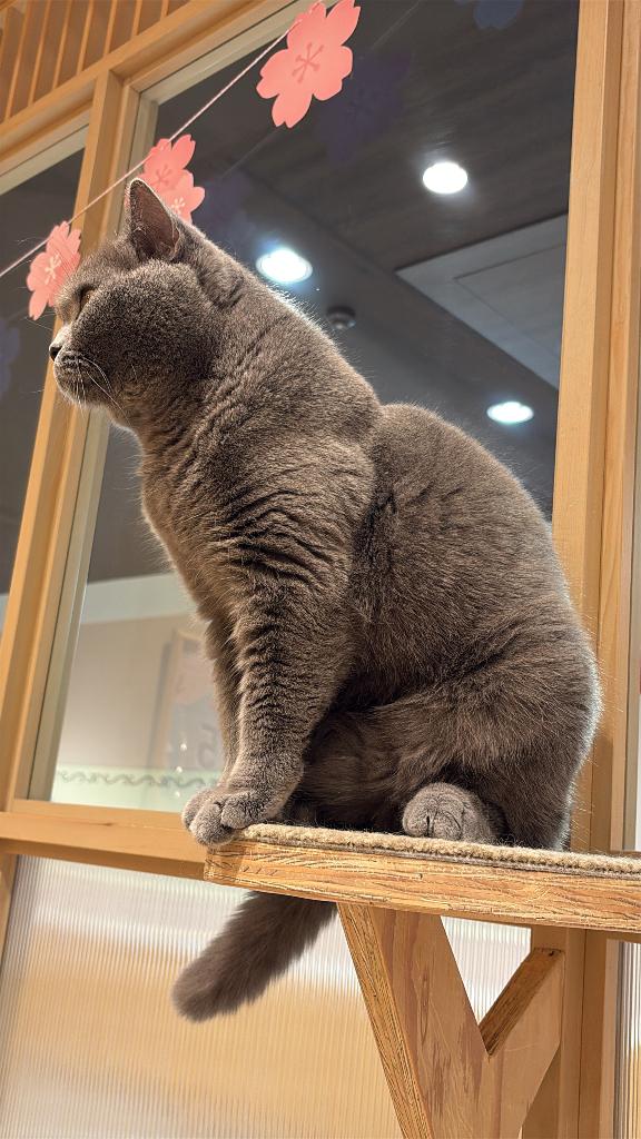 るいの写メ日記