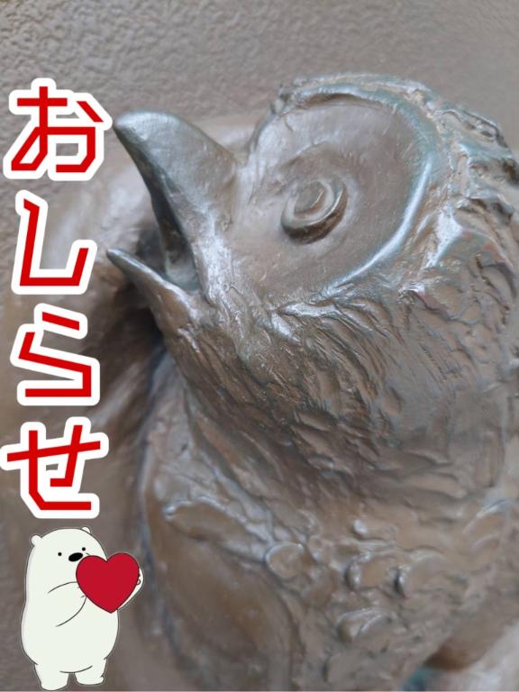 さやかの写メ日記