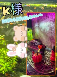 ひの|水戸デリヘルの写メ日記