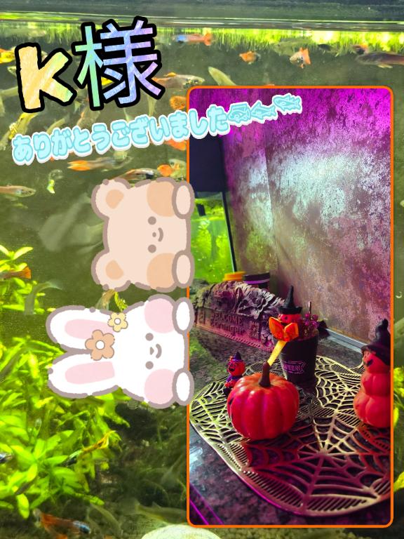 ひのの写メ日記