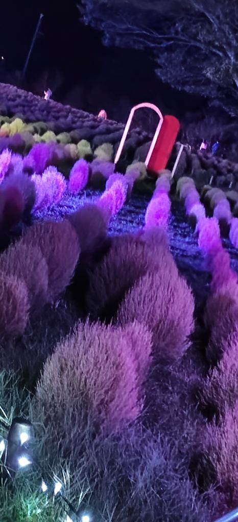ねおの写メ日記