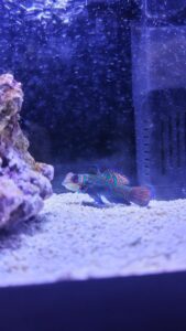 ねお【業界未経験】｜水戸デリヘルの写メ日記